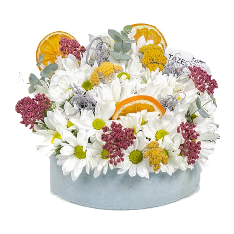 Papatya & Gerbera